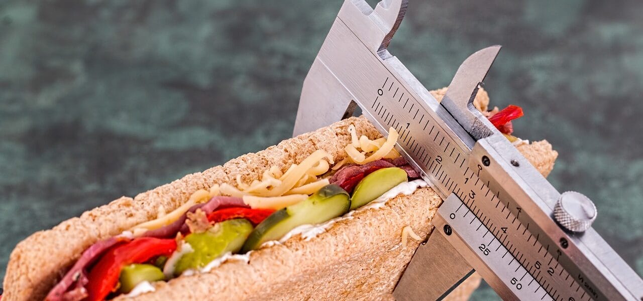 diet, vernier, sandwich