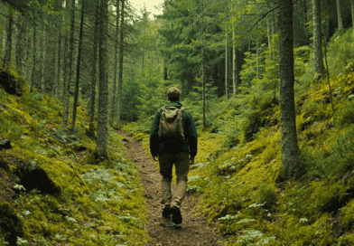 Person vandrar genom en frodig skog med ryggsäck bland grönska, lugn och friluftsliv. Perfekt för naturälskare som söker äventyr och avkoppling i det fria. Inspirerar till utflykter och vandring.Midcent Resa.