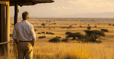 Privat safari i Kenya: Exklusiva lodger och Big Five Midcent: Upplev ett afrikanskt safariäventyr med vidsträckta savanner och magnifik solnedgång. Perfekt för naturälskare och äventyrsresenärer som söker oförglömliga upplevelser i det vilda. En resa till hjärtat av Afrikas rikedom.