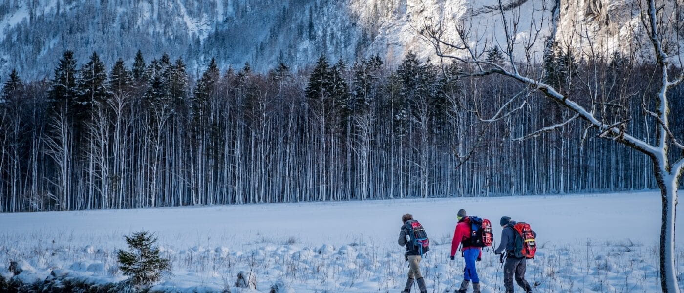 three person walking beside body of water during snow season