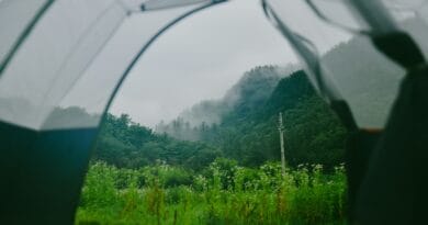 A person holding an umbrella over their head