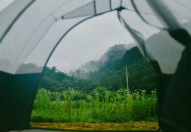 A person holding an umbrella over their head