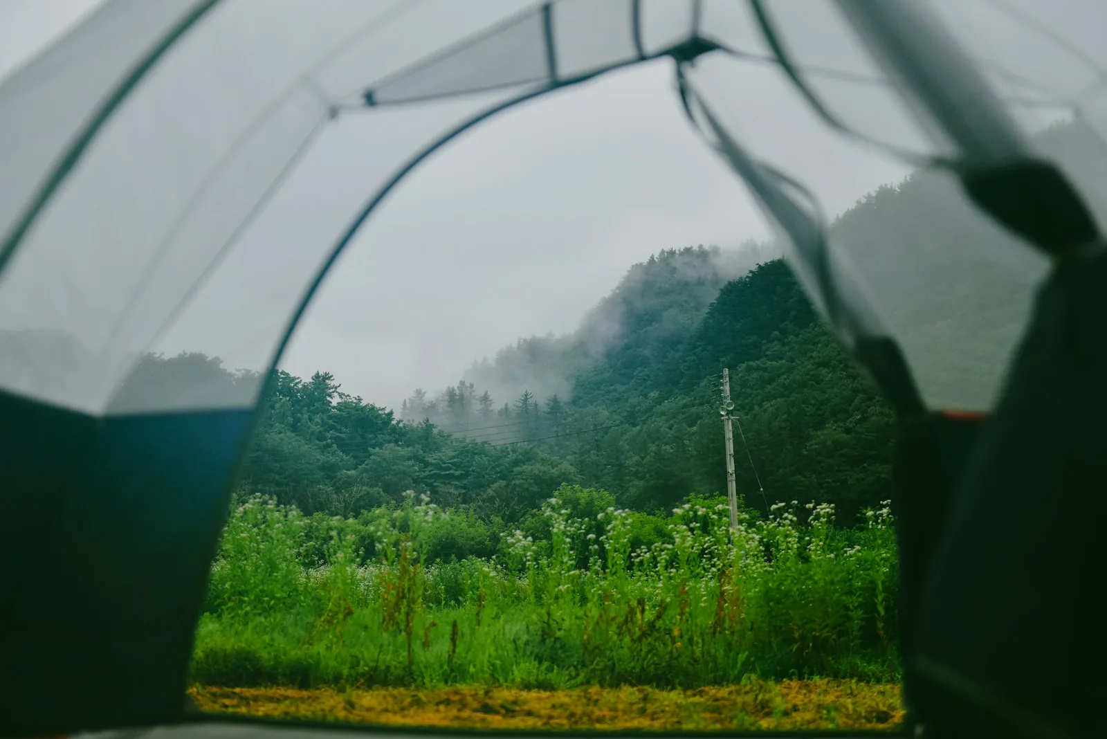 A person holding an umbrella over their head