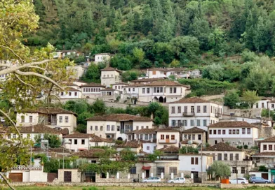 white and brown concrete houses near green trees during daytime