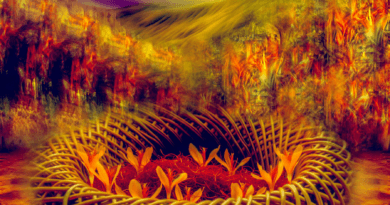 Midcent illustrerar en färgstark, abstrakt bild med levande blommor, omgivna av varma, röda och gula toner. Denna kombination av färger och mönster skapar en fascinerande visuell upplevelse. Kategori: Underhållning.