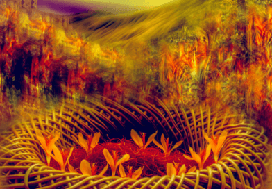 Midcent illustrerar en färgstark, abstrakt bild med levande blommor, omgivna av varma, röda och gula toner. Denna kombination av färger och mönster skapar en fascinerande visuell upplevelse. Kategori: Underhållning.