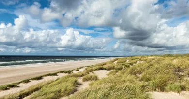 Öl, ost och orörd natur – roadtrip på Jylland utan barn