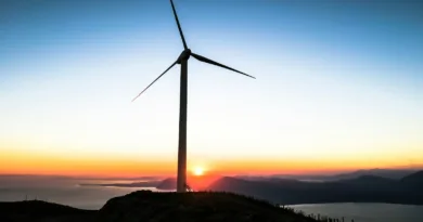 silhouette of wind mill during golden hour