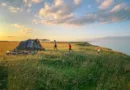 toddler walking on green grass with set-up tent during golden hour