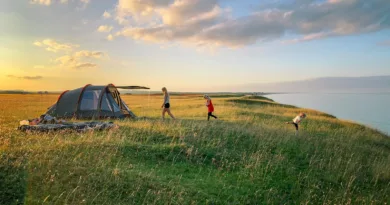 toddler walking on green grass with set-up tent during golden hour