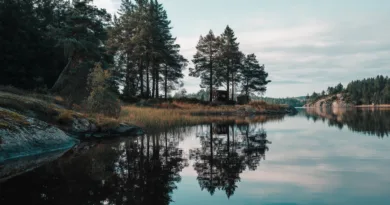 Därför luktar det alltid skumt i ditt fritidshus Midcent: En idyllisk sjölandskap med spegelblankt vatten och tallskog i bakgrunden. Perfekt för naturälskare och avkoppling. Upplev lugnet och skönheten i den svenska naturen. En plats för ro och stillhet. Kategori: Resa.