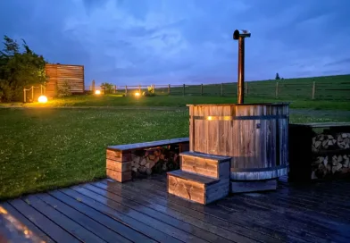 brown wooden bench on green grass field during daytime