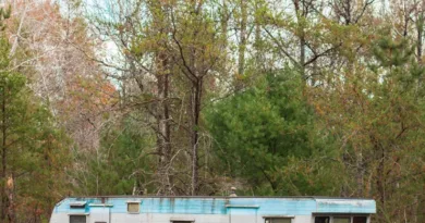 blue and white camper trailer beside trees during daytime