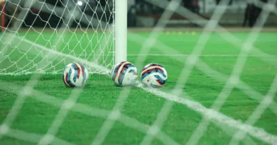 two soccer balls sitting on a soccer field