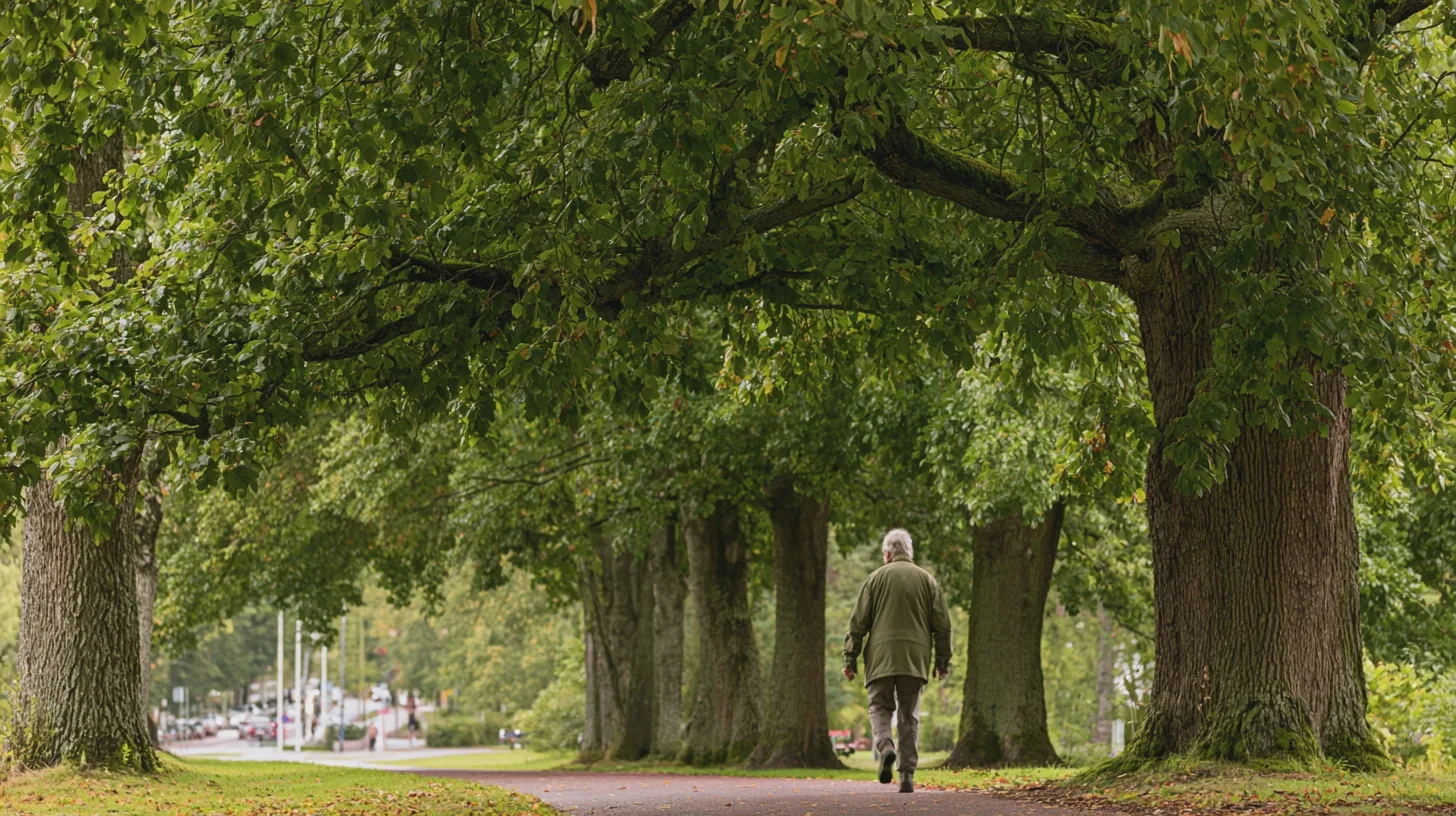 Äldre person promenerar på en allé kantad av stora lövträd, parkmiljö, gångväg, höstgrönska, stadsbakgrund, lugn promenad