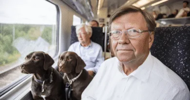 Midcent: En medelålders man och två hundar på tågresa, fångar ögonblick av avkoppling och natur. Resa.