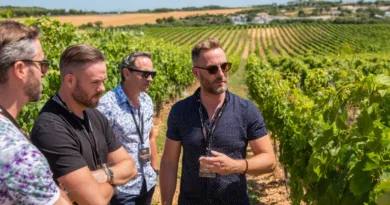 En medelålders man guidar en grupp genom en grönskande vingård under en solig dag. Omgivna av frodiga vinrankor, diskuteras troligen vinodling och produktionstekniker. Midcent. Kategori: Mat.