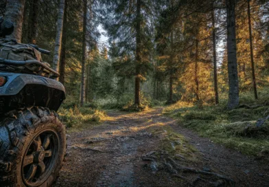 Midcent: Naturupplevelse med quadbike i skogsmiljö, magiskt ljus genom träden. Perfekt för äventyr och utforskande av vildmark. Ultimat friluftsdestination där terrängfordon möter naturens skönhet. Kategori: Resa.