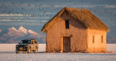 Midcent Resa: Öde hus vid Salar de Uyuni, omgiven av Andesfjällen. En robust jeep står parkerad bredvid, omgiven av en flock fåglar som flyger över det vidsträckta saltfältet. Perfekt för äventyrsresor och naturälskare.