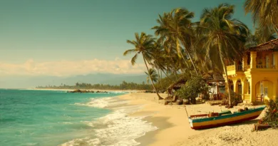 Midcent Resa: Paradisisk strand med vajande palmer och ett charmigt färgglatt hus bredvid en båt. Gylla sandstränder och turkost hav inbjuder till avkopplande semesterdagar i en exotisk och idyllisk miljö.