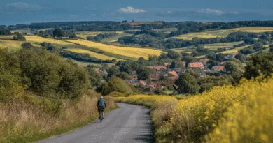 Midcent: En medelålders man cyklar genom pittoreska åkrar med blommande raps och vyer mot röda hustak i en lantlig miljö. Perfekt landskapsbild för avkopplande cykling och utforskning. Resa.