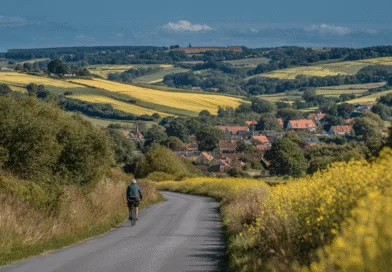 Midcent: En medelålders man cyklar genom pittoreska åkrar med blommande raps och vyer mot röda hustak i en lantlig miljö. Perfekt landskapsbild för avkopplande cykling och utforskning. Resa.