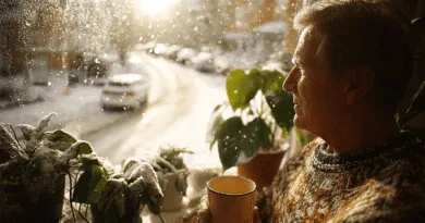 Midcent: En medelålders man sitter vid fönstret och njuter av en vinterutsikt med en kopp i handen. Snö faller utanför. Växter pryder fönsterbrädan, vilket skapar en varm och mysig atmosfär. Kategori: Samhälle.