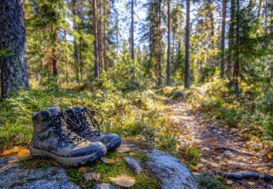 Midcent Naturäventyr: Ett par robusta vandringskängor vilar på en sten i en solbelyst, frodig skogsmiljö. Perfekt för den naturälskande äventyraren. Kategori: Resa.