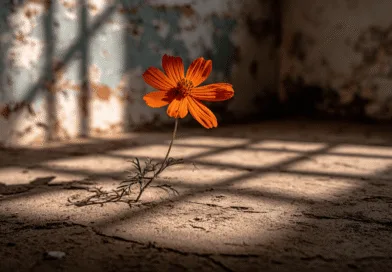 Midcent: En ensam orange blomma växer genom sprucken betong i ett övergivet rum, badande i mjukt solljus. Scenen symboliserar hopp och tålamod. Kategori: Samhälle.