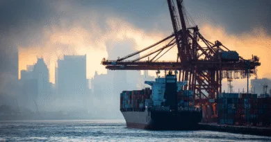 Midcent: En imponerande hamnmiljö med containerfartyg som lastar av vid en stor stadshorisont i solnedgångsljus. Kransiluetter speglar logistiska framsteg och global handel. Bilden fångar essensen av internationell transport och ekonomi. Kategori: Ekonomi.