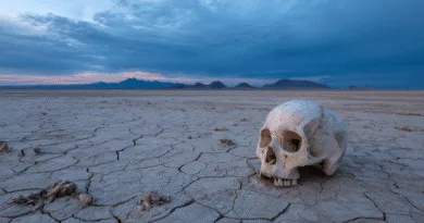 Midcent: En torkad öken sträcker sig oändligt under en dramatisk himmel. En ensam människoskalle vilar på den spruckna marken, vilket skapar en stark kontrast och mystik. Detta fångar både ögon och fantasi. Kategori: Resa.