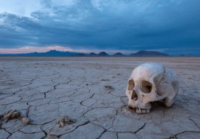 Midcent: En torkad öken sträcker sig oändligt under en dramatisk himmel. En ensam människoskalle vilar på den spruckna marken, vilket skapar en stark kontrast och mystik. Detta fångar både ögon och fantasi. Kategori: Resa.